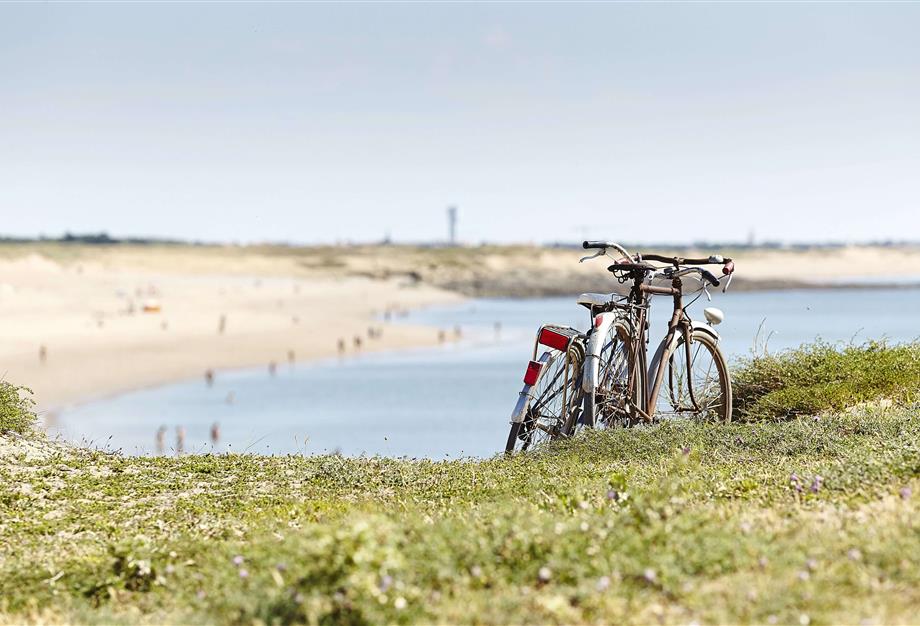 ontdek de Vendée op de fiets - CAMPING*** Les Sirènes